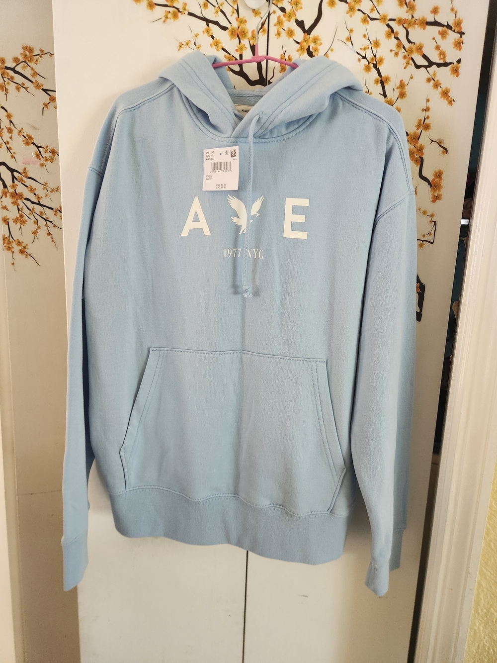 American Eagle Outfitters Light Blue Logo Pullover Hoodie